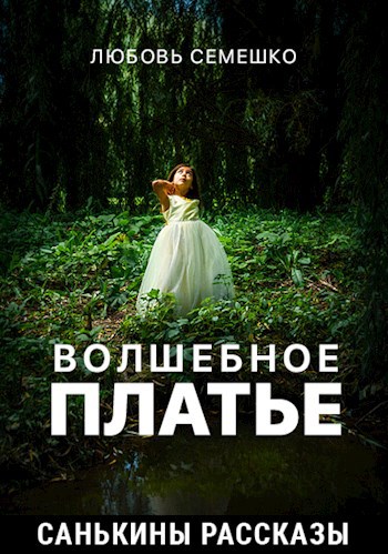 Обложка произведения Волшебное платье