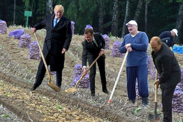 Фотожабы на макрона. Трамп и Макрон Мем. Макрон фотожаба. Трамп и Макрон фотожабы. Фотожаба на Макрона.