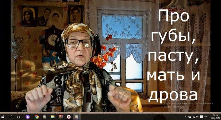 Иркутск. Бабушки поговорили с мэром по скайпу