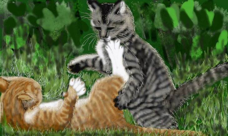 Иллюстрация