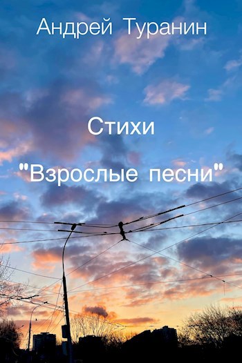 Обложка произведения Взрослые песни