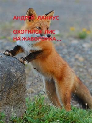 Обложка произведения Охотился лис на жаворонка...