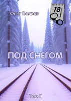 Обложка произведения Под снегом Том II