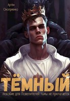 Обложка произведения Тёмный: Инструктаж