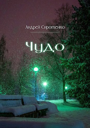 Обложка произведения Чудо