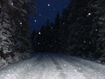 Обложка произведения Шум Магнитолы
