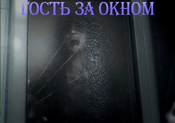 Обложка произведения Гость за окном