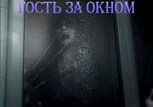 Обложка произведения Гость за окном