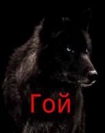 Обложка произведения Гой.