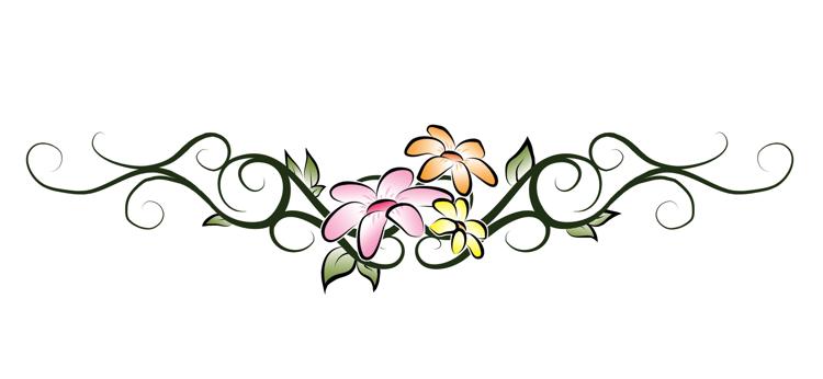 Picture background