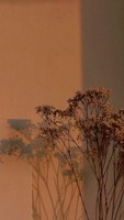 Обложка произведения Последняя ведьма