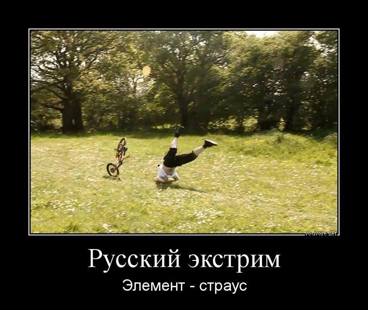 Песня всë хорошо просто мне нравится экстрим. Приколы про экстрим. Анекдоты про экстрим. Экстрим демотиваторы. Шутки про страуса.