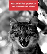 Обложка произведения Мечтаю выйти замуж за брутального мужчину