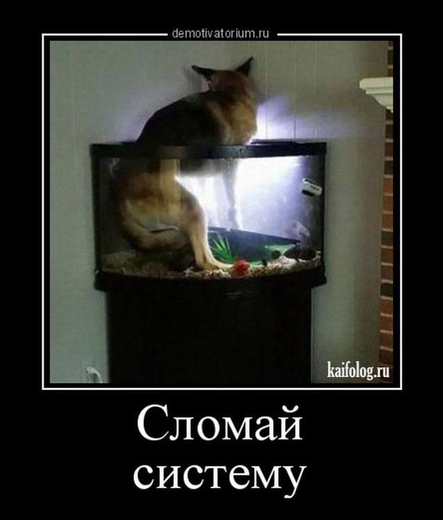Сломай систему мем. Ломать систему. Зад автомобиля. Ломать систему. Сломал систему мем.