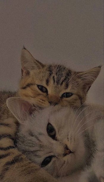 Обложка произведения Нужда
