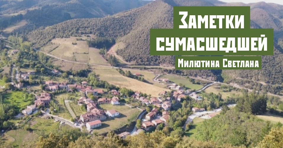Обложка произведения Заметки сумасшедшей