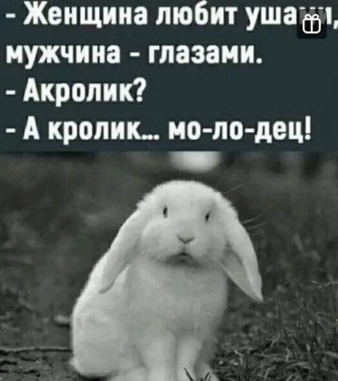 Женщина любит ушами а мужчина. Большинство женщин любят ушами. Женщины любят ушами но те кто любят ртом побеждают. Люблю ушами что значит. Большинство женщин любят ушами но те которые любят ртом побеждают.