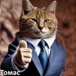 Обложка произведения Томас