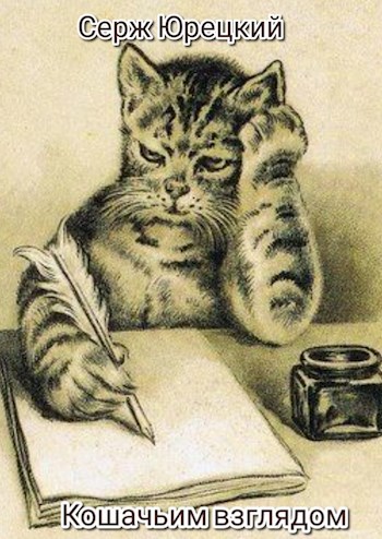 Обложка произведения Кошачьим взглядом