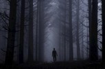 Обложка произведения Произведение охотник, арка: ужас меня