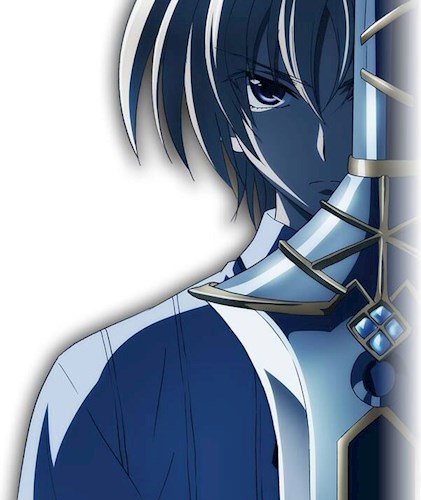 Обложка произведения DxD. Проект Святой Меч