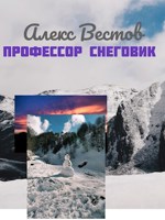 Обложка произведения Профессор снеговик