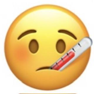 b0864e56c0fa40969ec334a6a01d7edf.jpeg