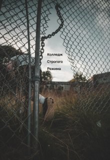 Обложка произведения Колледж строгого режима