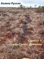 Обложка произведения Сарисса-5. Сквозь Грани. Дрянлинг