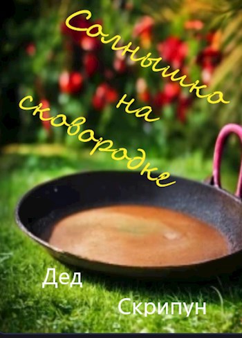 Обложка произведения Солнышко на сковородке.