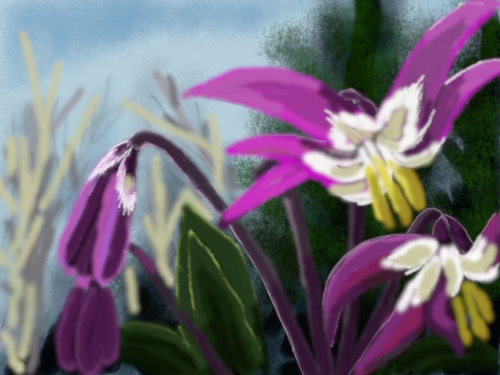 Иллюстрация