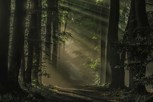 Обложка произведения За лисой - другая реальность
