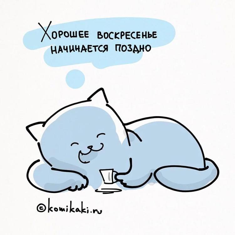 Веселые афоризмы про воскресенье. Прикольные поздравления с воскресеньем. Открытки с добрым утром воскресенья. Шутки про воскресенье. Креативные открытки с добрым утром.