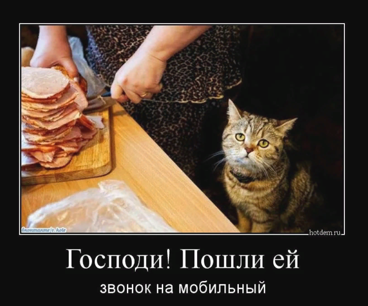 89d43d20cb764a3e8e24114b3369d9a7.png