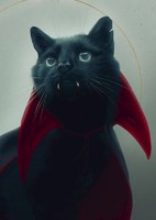 Обложка произведения Перерождение: Дарт Кот