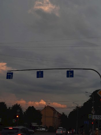 Обложка произведения Эмоции всегда возьмут верх
