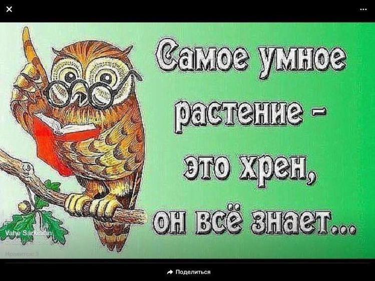 Хрен прикол. Шутки про хрен. Хрен не знает. Хрен знает прикол. Хрен ее знает.