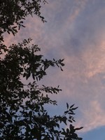 Обложка произведения Любов(л?)ь