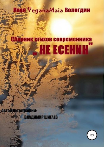 Обложка произведения Не Есенин