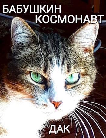 Обложка произведения Бабушкин космонавт