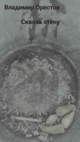 Обложка произведения Сквозь стену