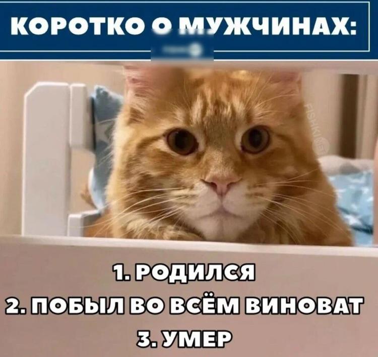 Поздравление с днем рождения мем. Завершение переговоров. Поздравления с днём рождения денису. Тоска на работе. Картинки для мемов.