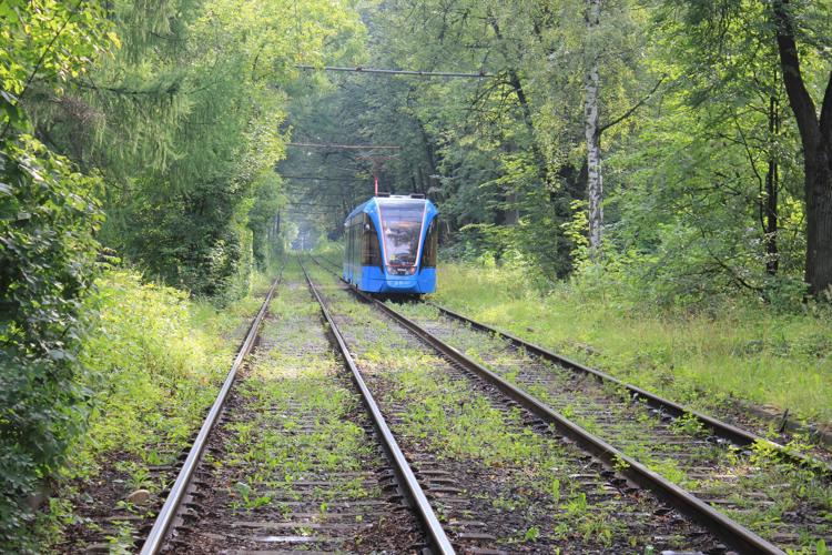 Мать оставила двух детей в купе и случайно уехала на другом поезде