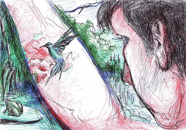 Иллюстрация