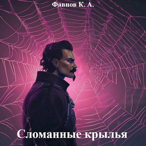 Обложка произведения Сломанные крылья