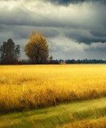 Обложка произведения Ожидая новый мир