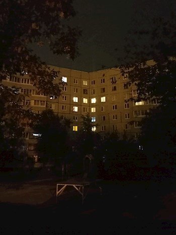 Обложка произведения Палка