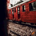 Обложка произведения Плацкартнодонт