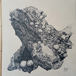 #94305