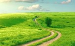 Обложка произведения По тропинке я бегу